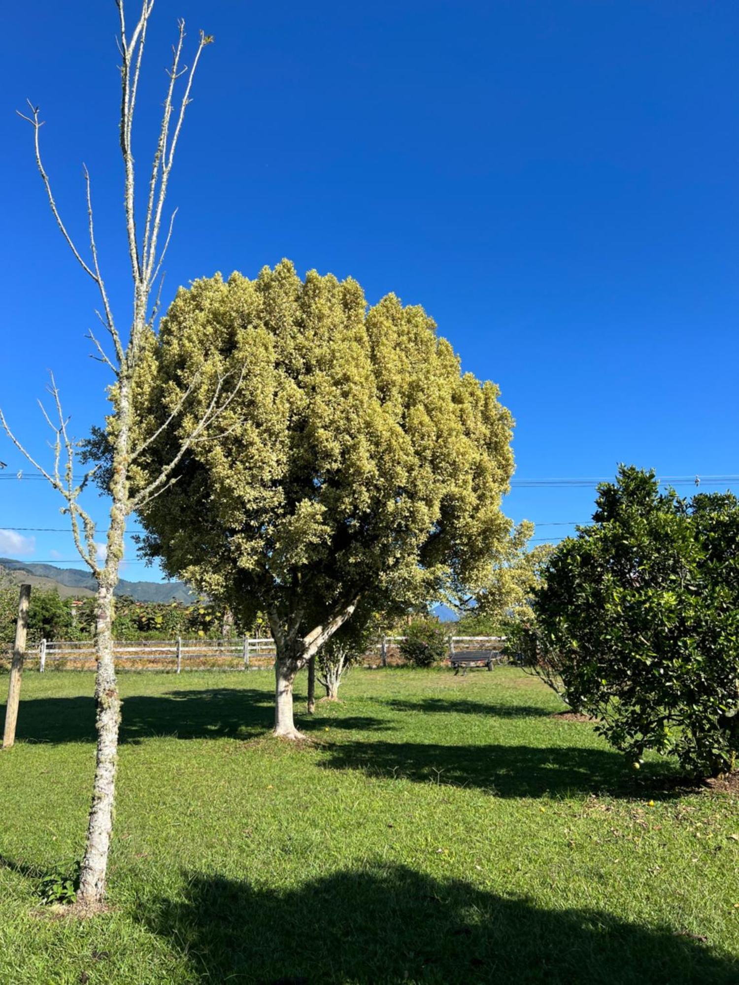 Finca Hotel Paraiso Urrao Bagian luar foto