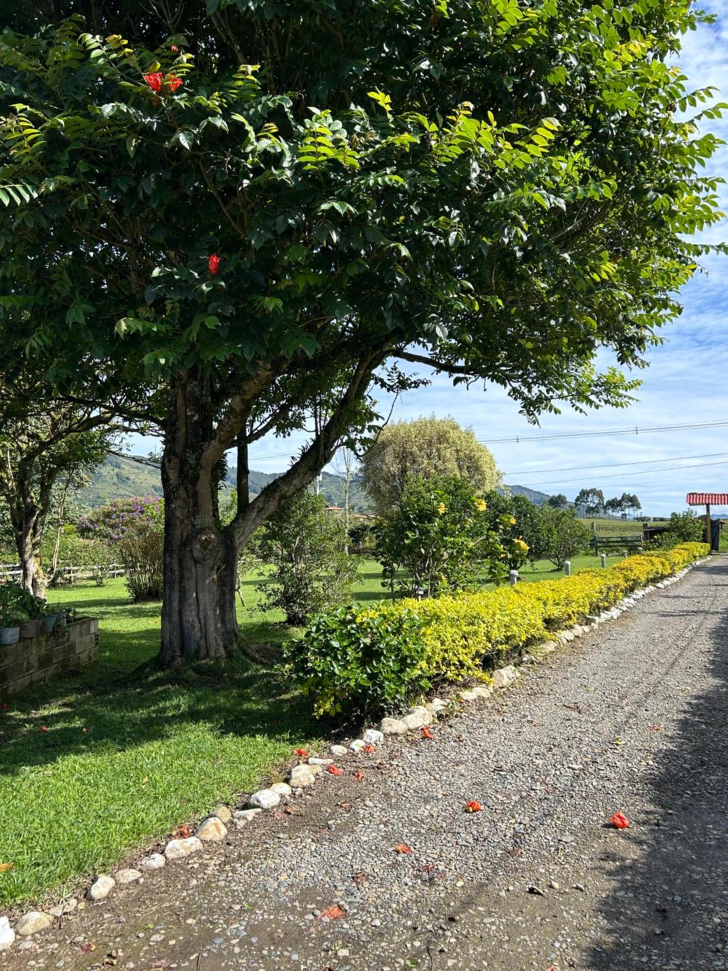 Finca Hotel Paraiso Urrao Bagian luar foto